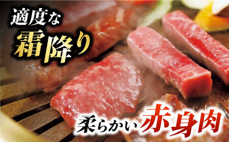 【6回定期便】くまもとあか牛 サーロイン ステーキ 約400g(約200g×2)【有限会社スイートサプライなかぞの】[ZBV059]