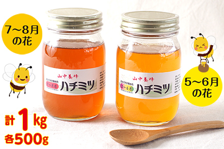 【自然のまま】富津産ハチミツ食べ比べ500g×2本 計1kg