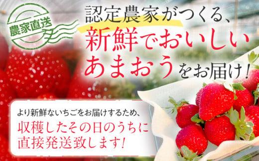 【先行予約/2026年】福岡県産あまおう 約270ｇ×4パック《2026年3~4月発送》 CL002