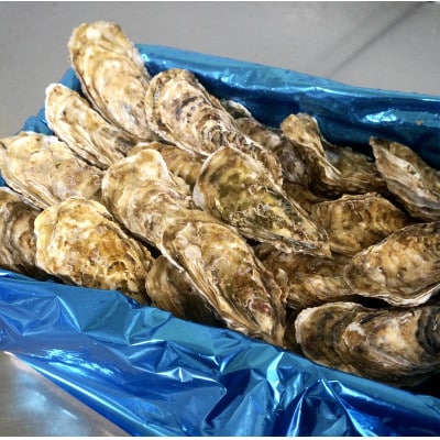 北海道 仙鳳趾名産 牡蠣 150～199g×24個+かきナイフ付 K3-4【配送不可地域：離島・沖縄県・信越、北陸・東海・近畿・中国・四国・九州】