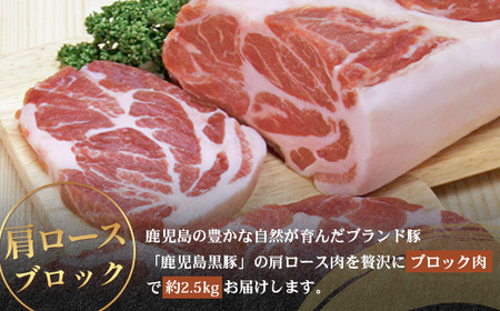 ≪全3回≫【南大隅町限定】食べ応え満点！ ★ かごしま黒豚 ブロック肉 定期便 ★ 鹿児島県産 NS-26 ｜ 肉 豚肉 ぶた 豚 ブタ 黒豚 鹿児島黒豚 ロース ブロック バラ 肩ロース バラブロッ
