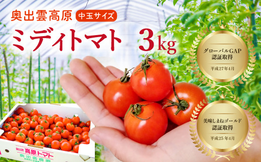 
            世界基準の奥出雲高原ミディトマト3kg（中玉サイズ）【トマト とまと 3kg たっぷり 野菜 ミディトマト 中玉 一口サイズ 厳選 新鮮 お手軽 健康 美容 安心 安全 美味しい サラダ シンディースィート リコピン やさい】
          