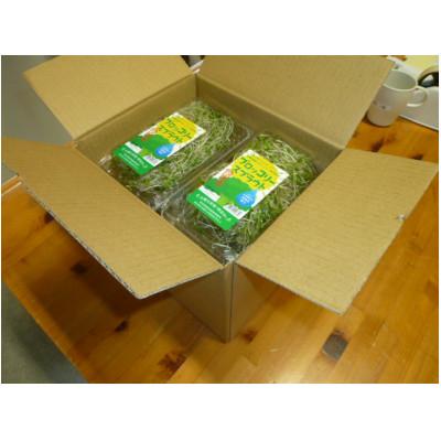 ふるさと納税 久米南町 ブロッコリースプラウト　40g×10パック |  | 02