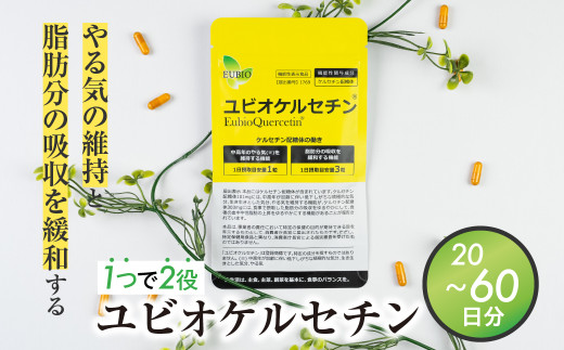 ユビオケルセチン 60日分 20日分 サプリ サプリメント 健康商品 機能性表示食品　飛騨市 ケルセチン ダイエット ダイエットサポート 活力  中高年 飛騨市 [Q2724] 20000円 2万円