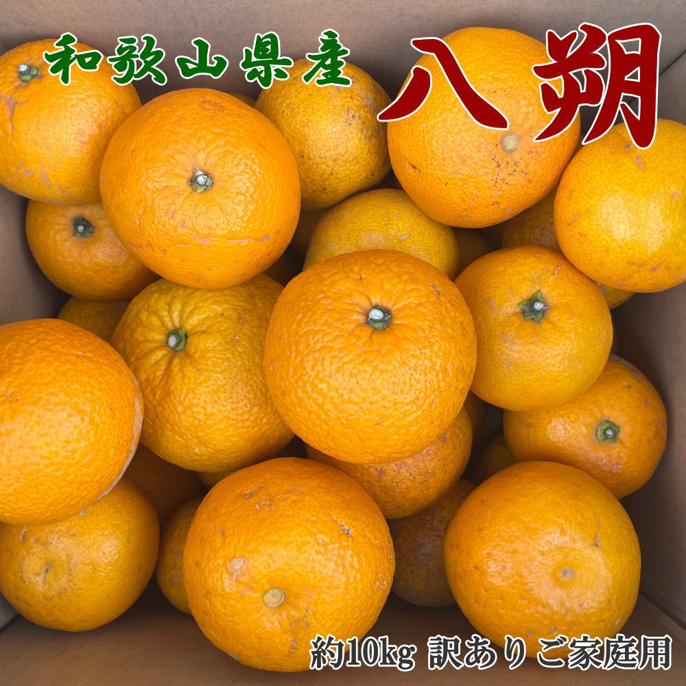 【ふるさと納税】【先行予約】【手選果　訳あり】和歌山由良町産八朔約10kg(サイズ混合・ご家庭用)※2026年1月中旬～2026年2月下旬頃順次発送（お届け日指定不可）