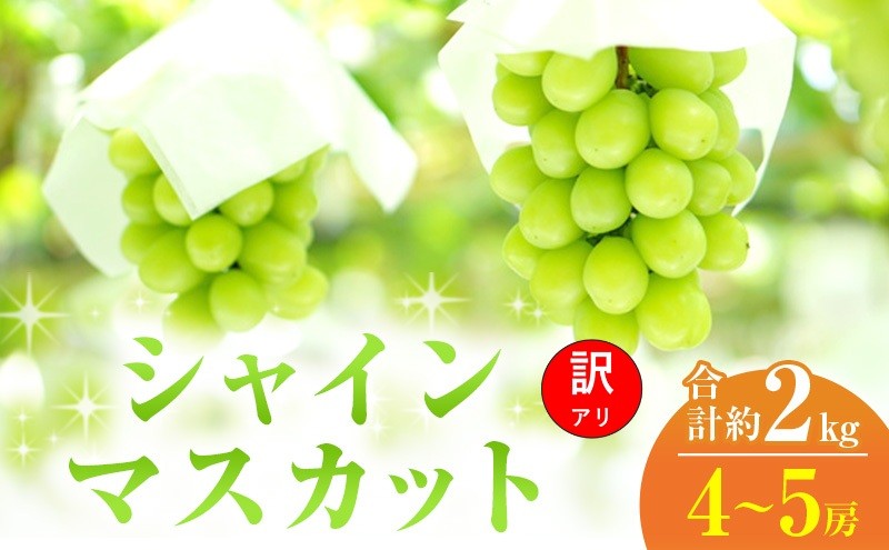 
                  [№5615-0411]訳あり シャインマスカット 4～5房 合計約2kg 岡山県 高梁市産 2026年 先行予約 常温 ぶどう フルーツ 葡萄 ブドウ 皮ごと 産地直送 大粒 爽やか 食べやすい
                
