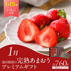 「〇〇の日！」12ヵ月定期便 _ 定期便 12回 毎月お届け あまおう 肩ロース 冷凍 焼餃子 焼き立てパン アイスクリーム 抹茶 バニラ チョコ 梅のしずく 生ラーメン 和牛 焼肉 米粉 シュークリ