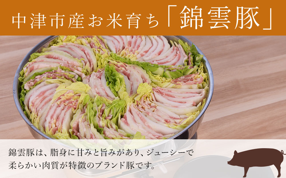 高級 ブランド 錦雲豚 たっぷり 3kg 詰め合わせ 6種 セット | お肉 肉 豚 豚肉 お米育ちの 錦雲豚 しゃぶしゃぶ 生姜焼き 丼 バラ ロース モモ ミンチ うで 豚肉 冷凍 送料無料 大分