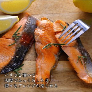 国産サーモン 切り身 約5kg (約70g×3切×25P) 小分け 広島レモンサーモン｜国産 冷凍 切身 おかず 広島県産 ふるさと納税 特産品 グルメ 鮭 サーモン レモンサーモン 魚 高級 広島 
