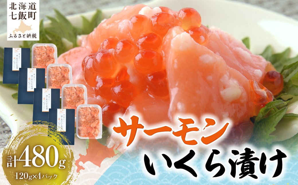 
                  サーモンいくら漬け120g×4パック 【 ふるさと納税 人気 おすすめ ランキング サーモン イクラ ikura 鮭卵 醤油漬け 海鮮丼 お取り寄せ グルメ ご飯にのせるだけ 小分け おつまみ おかず 水産 海鮮 魚卵 魚介 冷凍 北海道 七飯町 送料無料 】 NAAF036
                