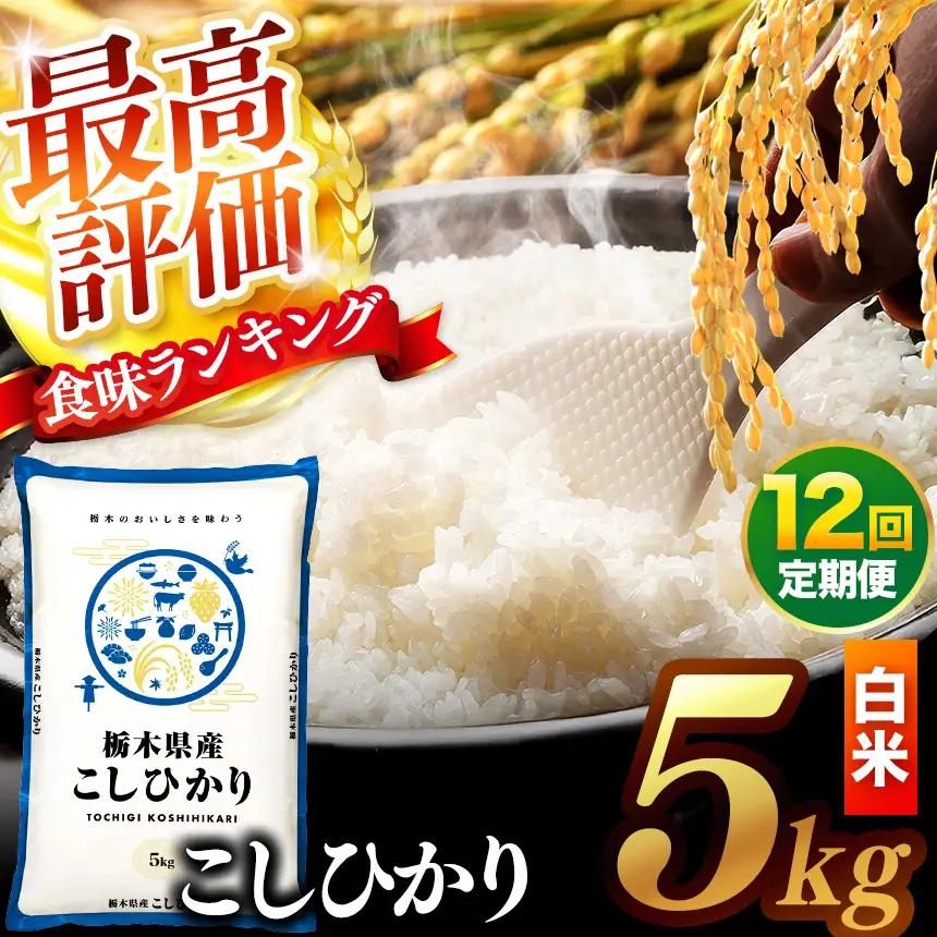 【先行予約】【定期便12回】 ＼白米／ 真岡市産コシヒカリ 5kg