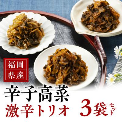 ふるさと納税 久留米市 福岡県産辛子高菜　激辛トリオ