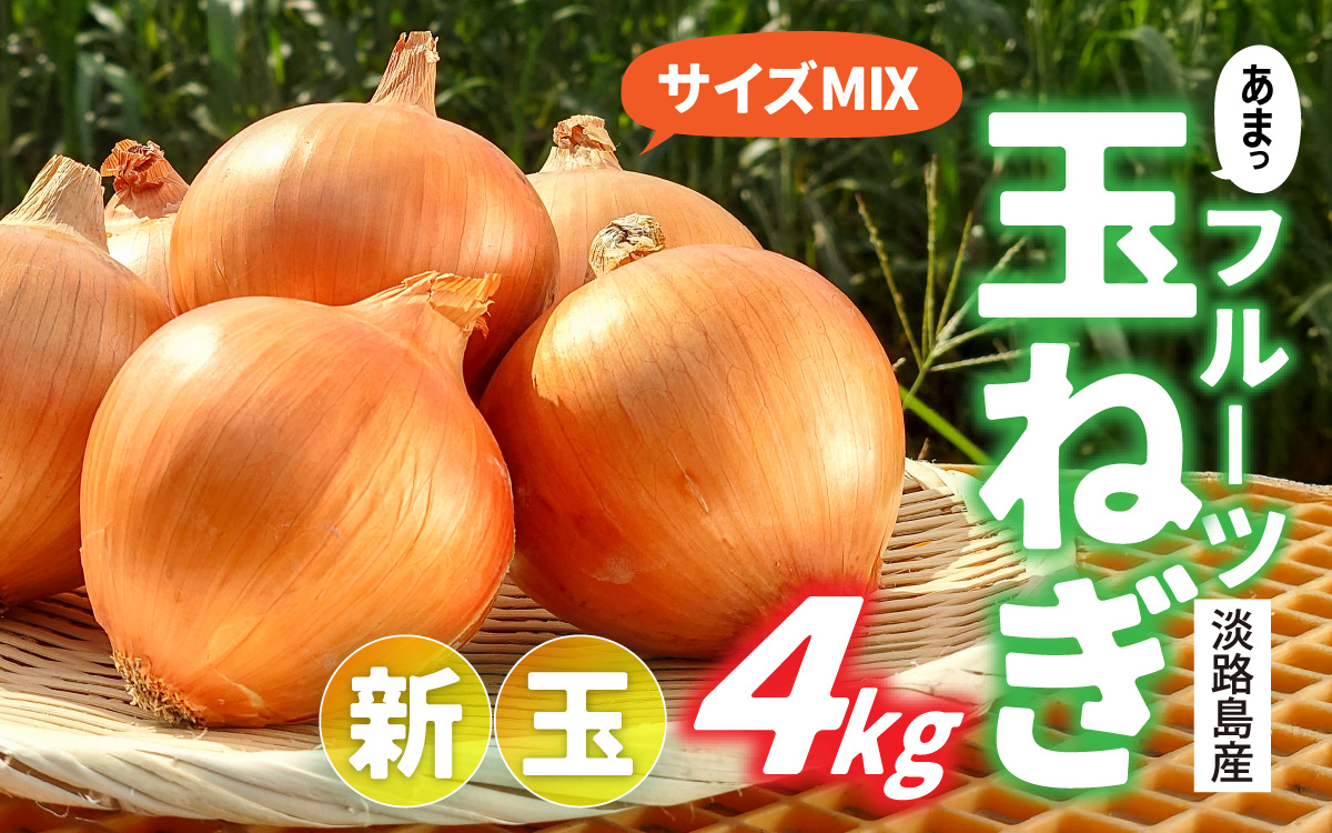 【 6月11日まで「新玉ねぎ」を受付 】フルーツ玉ねぎ4kg【サイズ色々】