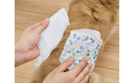 【4枚入×6個】ペット用おむつ ピタフィット M 男の子用  MNPD-M4