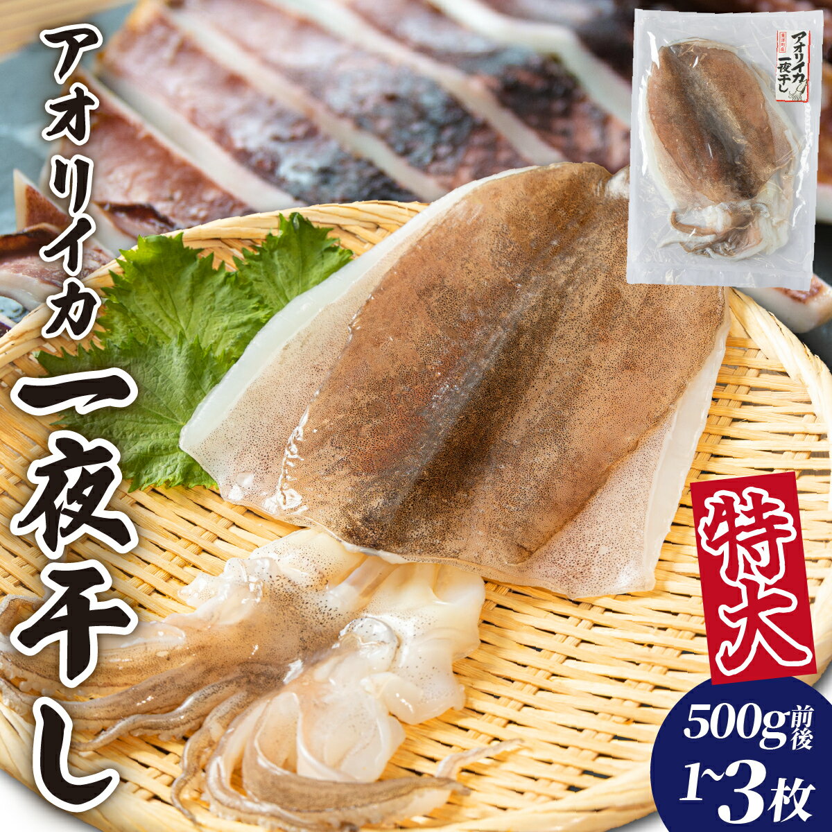 【ふるさと納税】＜選べる内容量＞アオリイカ一夜干し 特大 1〜3枚