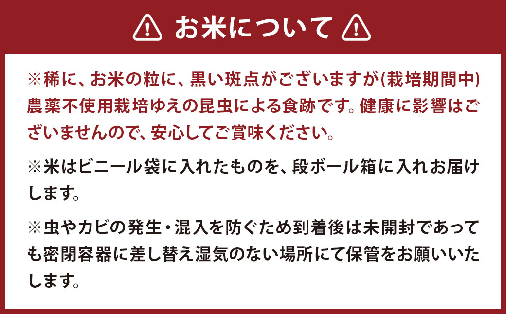 津留いちご園のお米 白米 農薬・化学肥料不使用（栽培期間中） 5kg