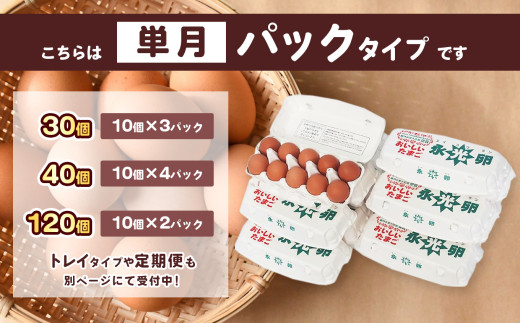 卵 たまご 40個 永光卵 10個×4パック |  新鮮 産みたて 濃厚 卵かけご飯 TKG 玉子 鶏卵 ブランド卵 甘み コク 光永ファーム 千葉県 君津市 きみつ