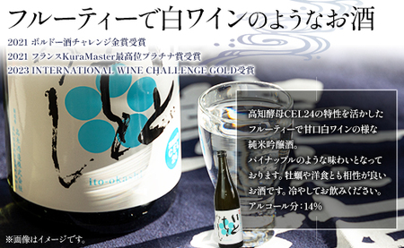 白ワインのようなお酒！純米吟醸いとをかし生酒720ml×4本 - お酒 日本酒 地酒 アルコール フルーティー 高木酒造 高知県 香南市 gs-0084