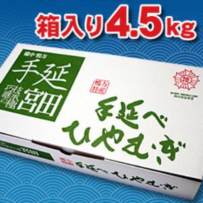 ふるさと納税 浅口市 手延べひやむぎ　4.5kg