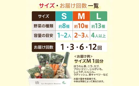綾町旬野菜ギフト（Lサイズ）
