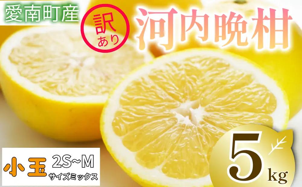  訳あり 河内晩柑 5kg 小玉 2S M サイズミックス お試し 家庭用 愛南町 清家ばんかんビレッジ