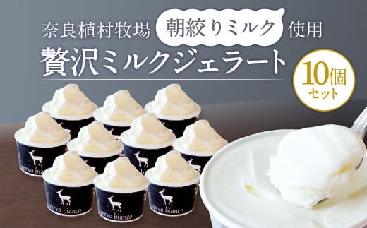 ジェラート 『奈良の大人気店cervo biancoの 濃厚ミルクジェラート 10個セット』 チェルボビアンコ ジェラート シャーべット アイス カップ デザート ミルク 牛乳 氷菓子 スウィーツ スイーツ 奈良県 奈良市 I-168