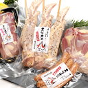 【ふるさと納税】天草大王 アウトドアセット 幻の鶏 キャンプ BBQ 骨付きもも肉500g!! 大手羽先 ソーセージ ブツ切りミックス 合計約1.1kg 鶏肉 モモ肉 胸肉 ウィンナー バーベキュー キャンプ 真空パック 冷凍 国産 九州 熊本県 送料無料