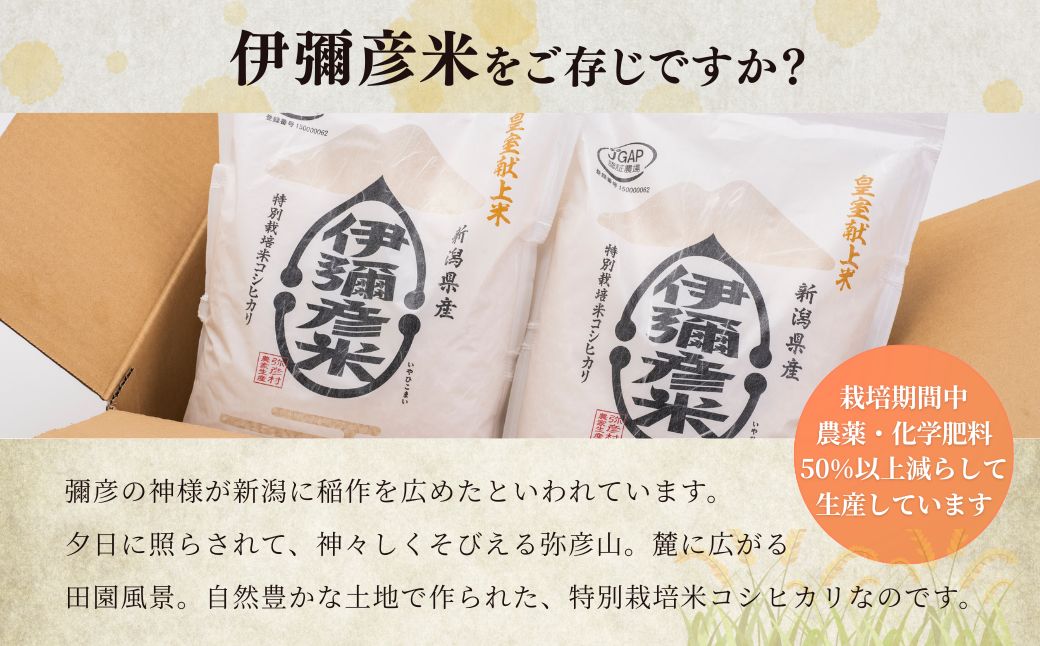 令和7年産 皇室献上米「伊彌彦米」(2018年皇室献上米) 10kg(5kg×2袋) | 新潟県 弥彦村