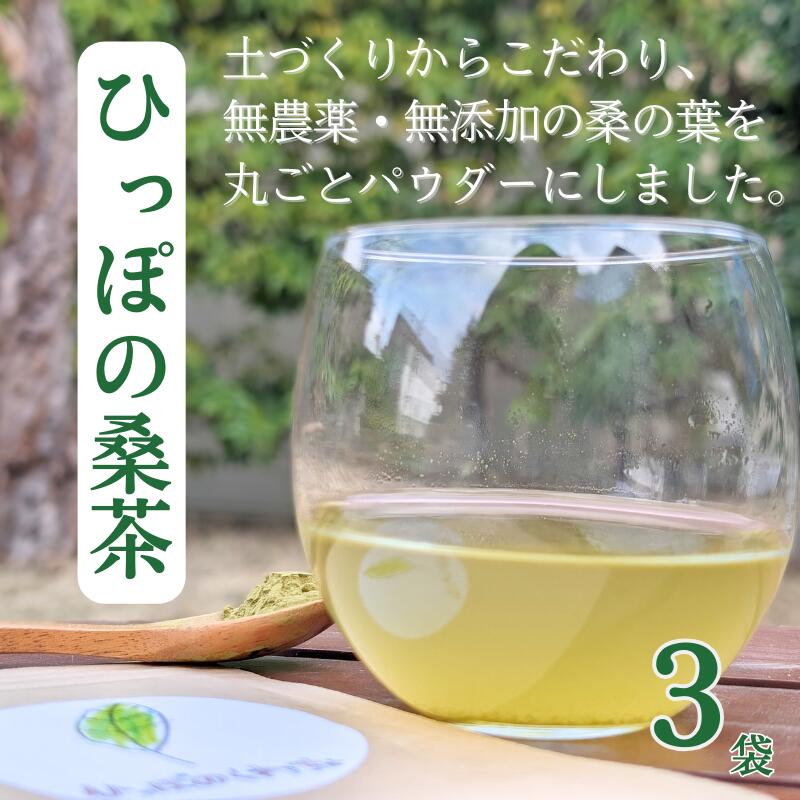 【ふるさと納税】現代人の不足しがちな栄養補給に！ ひっぽの桑茶3袋セット｜お茶 ノンカフェイン パウダー 健康 美容 糖質 ヘルシー ダイエット ビューティー キレイ マルベリー mulberry tea