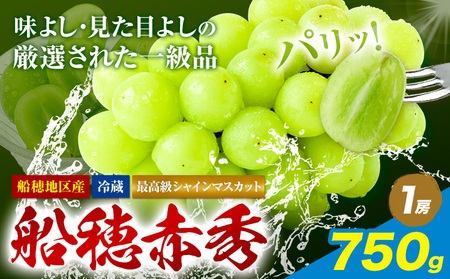 【2026年発送】最高級 シャインマスカット  船穂赤秀  750g ハレノフルーツ マスカット 【配送不可地域あり】 