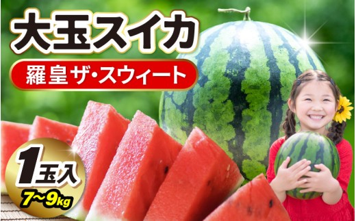 【先行予約】 坂井市産 大玉スイカ 「羅皇ザスウィート」 1玉入り 7～9kg (大玉) 【2026年7月中旬以降順次発送予定】【スイカ 西瓜 すいか デザート 果物 くだもの 夏 甘い ジューシー 旬の果物 産地直送】 [A-16209]