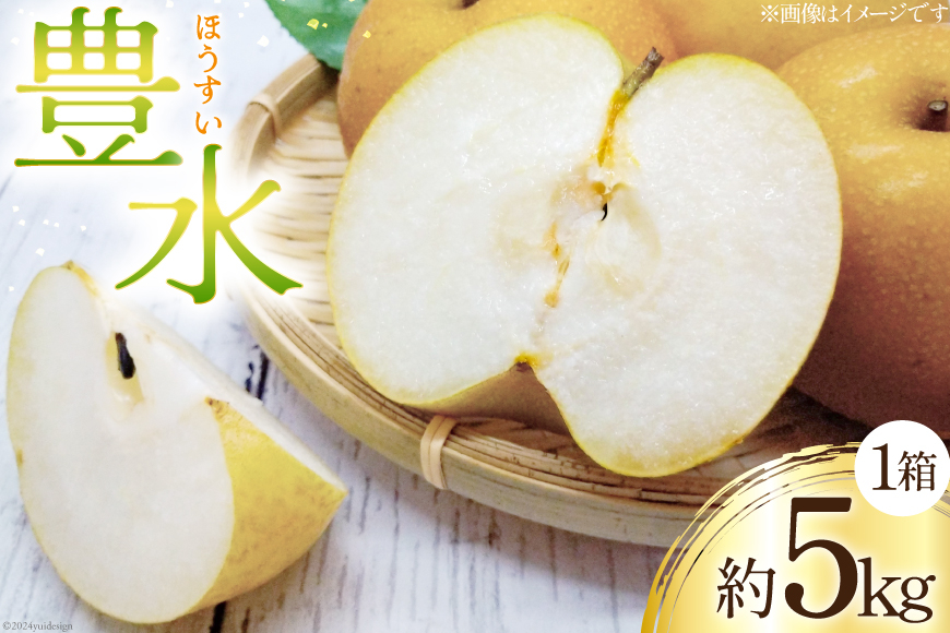 
            梨 豊水 1箱 約 5kg [坂本哲男 徳島県 北島町 29ay0001] 果物 フルーツ なし ナシ 旬 5キロ
          
