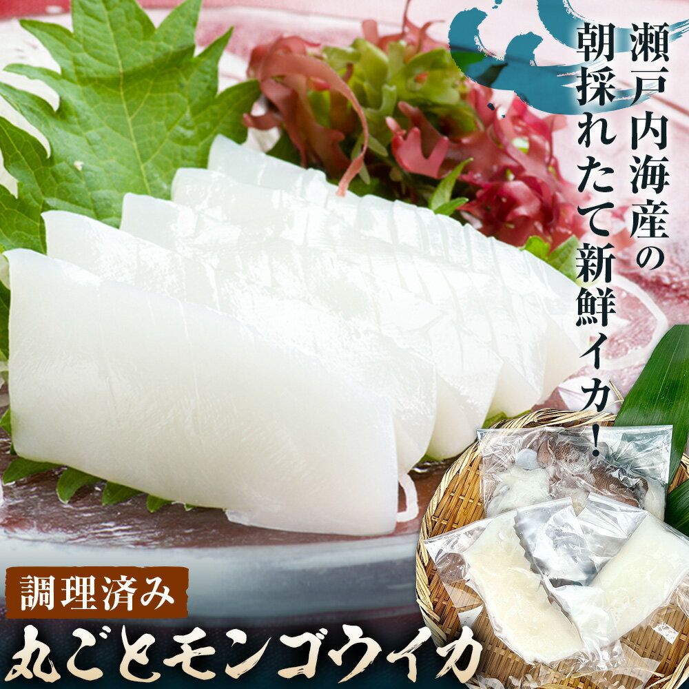 【ふるさと納税】イカ 丸ごと モンゴウイカ 調理済み 海産物 短冊×2 ゲソ ミミ 1杯 備前海産有限会社《30日以内に出荷予定(土日祝除く》岡山県 備前市 イカ 刺身 加熱 新鮮 瀬戸内海産 お取り寄せ
