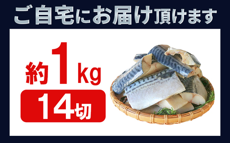 訳あり 塩サバ 1kg 鯖鯖鯖鯖鯖