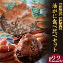 【ふるさと納税】海鮮セット 2種 タグ付き 活 松葉ガニ 黄金がに 2杯 計2.2kg 食べ比べセット カニ かに 蟹 ズワイガニ 数量限定 かにしゃぶ カニしゃぶ かにすき 焼きガニ 鍋 生 刺身 かにみそ カニ味噌 特大 お祝い ギフト 高級料亭 希少 香住産 姿 蟹 送料無料