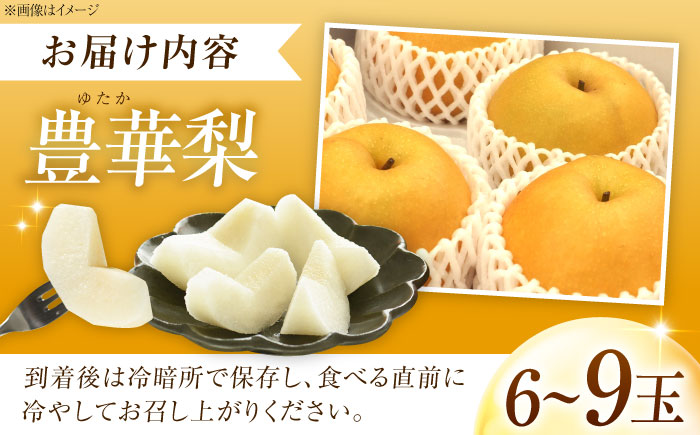 稲田ペアファームの豊華梨 （ゆたかなし） 6～9玉 〈2026年9月～発送〉 ／ フルーツ 果物 くだもの 食品 人気 おすすめ 梨 なし ゆたか 和梨 甘い 旬 ふるさと納税 【株式会社内子フレッシ