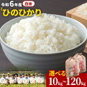 【ふるさと納税】【令和6年産 予約受付】白米 岡山県産 ひのひかり 笠岡産 選べる 内容量 回数 10kg 20kg 30kg 60kg 90kg 120kg 奥山営農 太陽の恵み O-02_10k_h