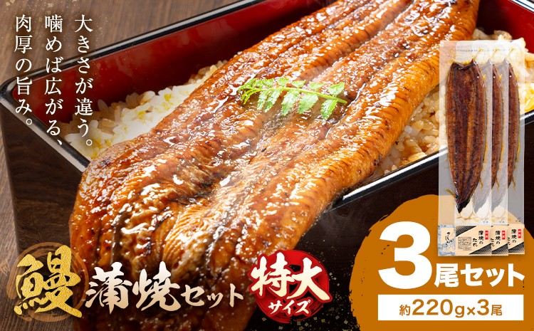 
                  ＼特大サイズ／ 鹿児島県産 鰻蒲焼真空セット！3尾  タレ・山椒付！ 株式会社薩摩川内鰻 《30日以内に出荷予定(土日祝除く)》  鹿児島県 さつま町 送料無料 ウナギ 丑の日 うなぎ 刻み グルメ 特大 鰻 蒲焼 真空
                