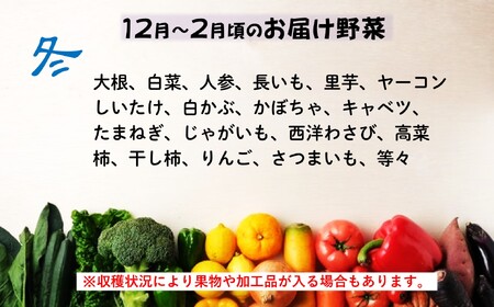 定期便6ヶ月 旬の野菜セットA(６品以上) I0089