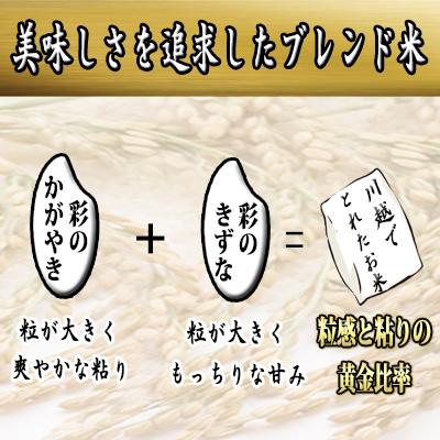 ふるさと納税 川越市 川越でとれたお米　10kg |  | 02
