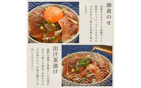 【訳あり】【全6回定期便】土佐の海鮮漬け丼 5種×各2Pセット 高知県土佐市 【企業組合　宇佐もん工房】 [BQAB015]