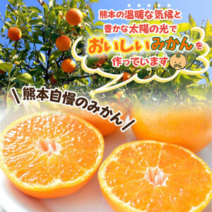 益城町産　温州みかん　約2.5kg【1352234】