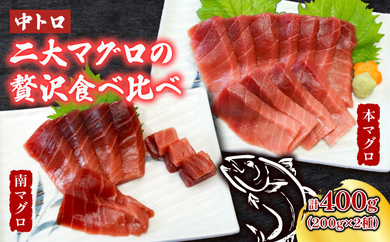 
            天然本マグロ　天然南マグロ　中トロ各１柵　（計４００ｇ）　食べ比べまぐろ 鮪 海鮮 冷凍 さしみ 刺身 父の日 高知 室戸 マグロ
          