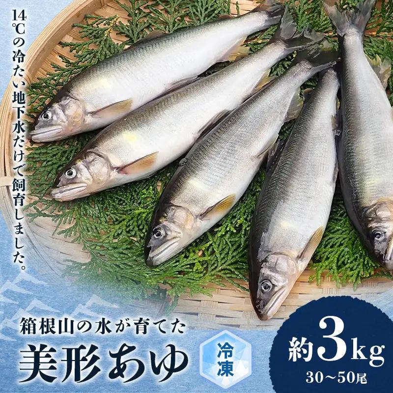 鮎 あゆ 箱根の水 川魚 鮎【約3kg 30〜50尾】【冷凍】