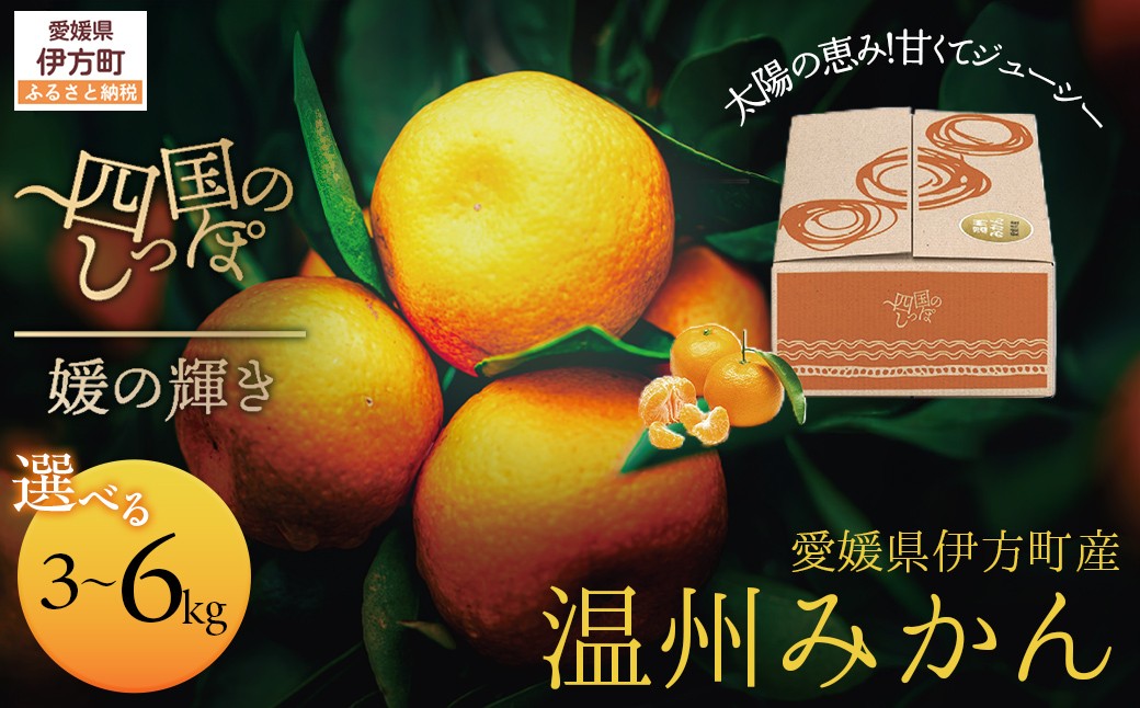 
            【愛媛県伊方町産】太陽の恵み！甘くてジューシーなみかん 媛の輝き 6kg（2025年11月下旬頃より順次発送） 【 ふるさと納税 人気 おすすめ ランキング みかん ミカン 柑橘 媛の輝き 温州みかん 果物 フルーツ 伊方サービス 愛媛県産 愛媛県 伊方町 送料無料 】 IKTE006
          