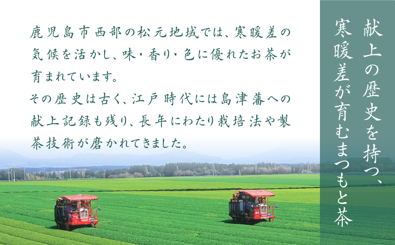 まつもと茶セット　K082-001