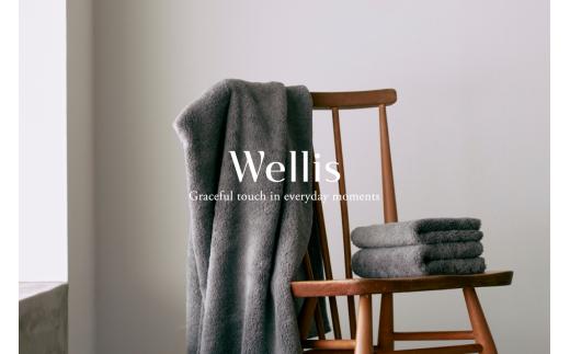 
Wellis ブランケット2枚セット (009_5045)
