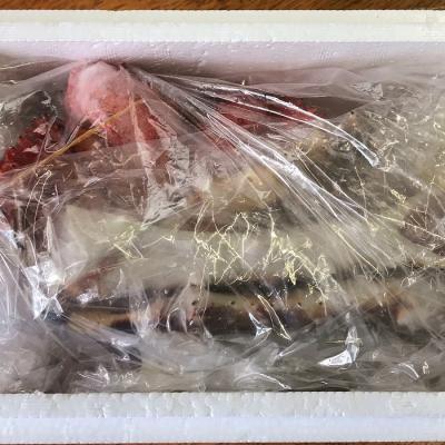 ふるさと納税 根室市 【北海道根室産】生たらばがに脚カット300g・ボイル花咲ガニ1尾 B-59004 |  | 01