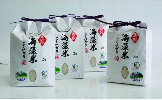 
                  BH1＜優栽＞海藻米こしひかり（大山ブランド会）
                