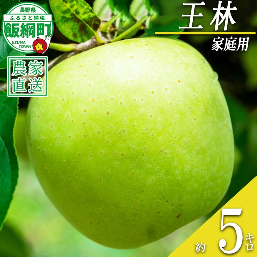 【ふるさと納税】 りんご 王林 家庭用 5kg 中村ファーム 沖縄県への配送不可 令和8年度収穫分 長野県 飯綱町 〔 信州 果物 フルーツ リンゴ 林檎 長野 16000円 予約 農家直送 〕発送時期：2026年10月下旬〜{**}